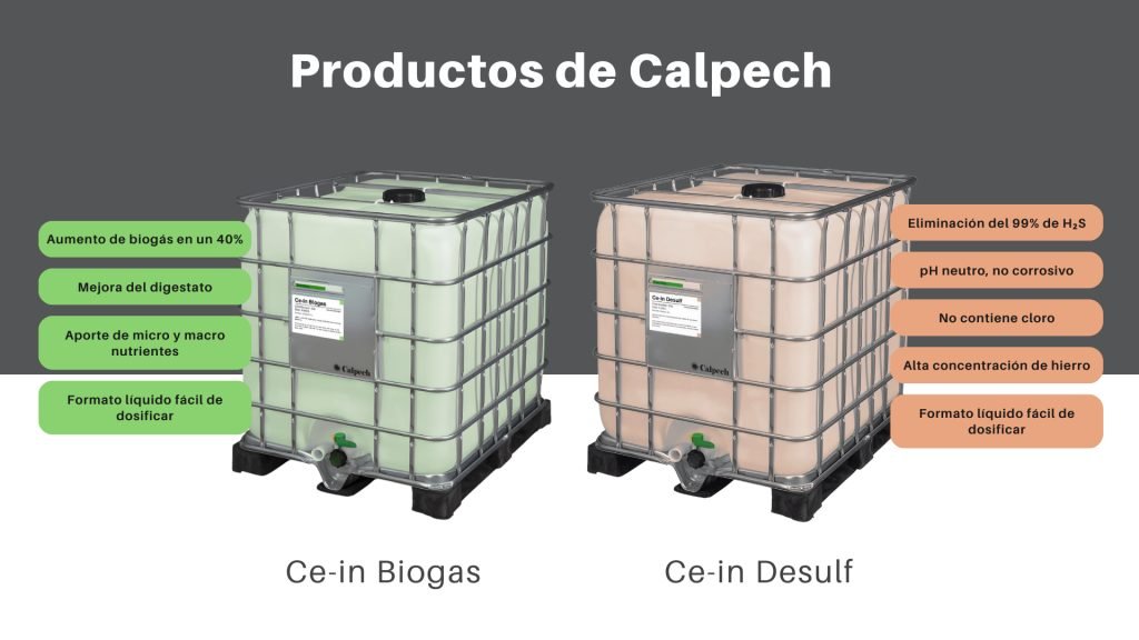 Calpech, S.L.: imagen del proyecto