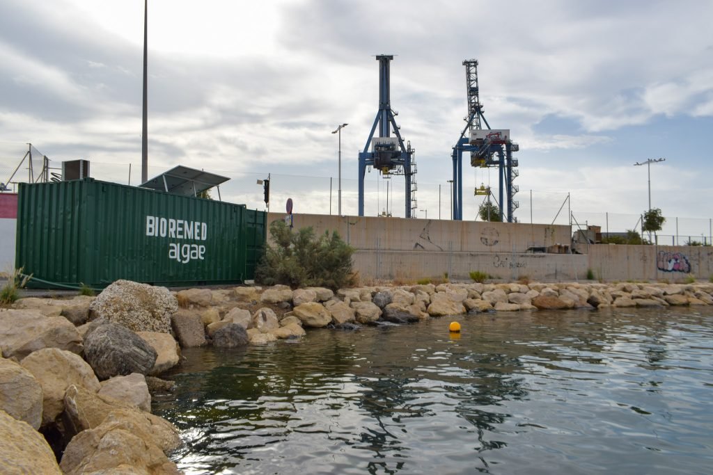 Mediterranean Algae Technologies: imagen del proyecto